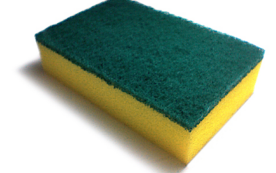 Science by a Scientist: Germy Sponges